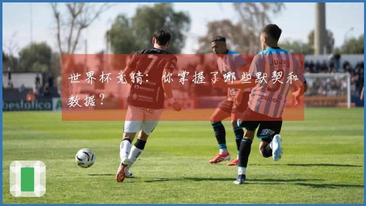 世界杯竞猜：你掌握了哪些默契和数据？