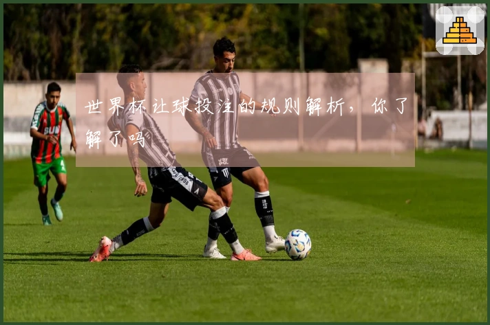 世界杯让球投注的规则解析，你了解了吗