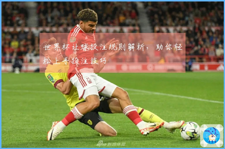 世界杯让球投注规则解析，助你轻松上手投注技巧