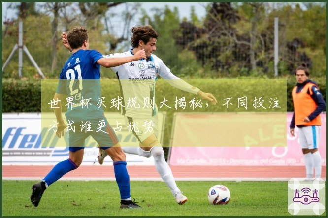 世界杯买球规则大揭秘，不同投注方式谁更占优势