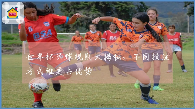 世界杯买球规则大揭秘，不同投注方式谁更占优势