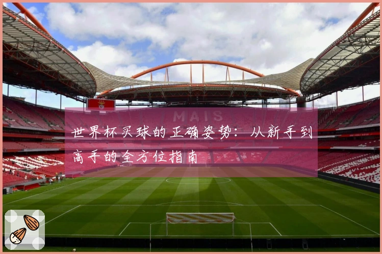 世界杯买球的正确姿势:从新手到高手的全方位指南