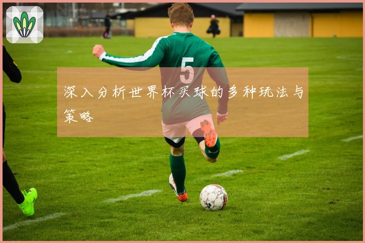 深入分析世界杯买球的多种玩法与策略